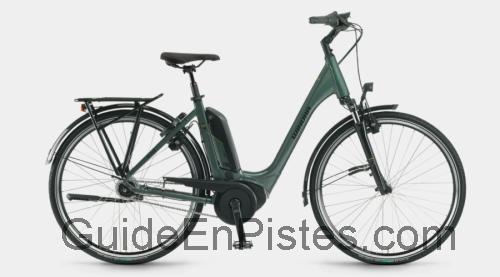 Winora Sinus Tria N8 fiche technique et avis